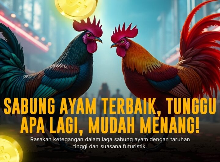 SV388: Raja Platform Sabung Ayam Online dengan Odds Terbaik
