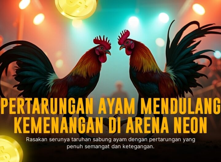 Mengupas Tuntas Ayam Bangkok di Sabung Ayam SV388