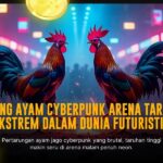 Mengenal Ayam Bangkok: Raja Sabung Ayam dengan Odds Terbaik di SV388