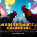SV388: Menyelami Dunia Sabung Ayam Online dengan Odds Menguntungkan