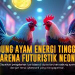 Mengenal Jenis Ayam Bangkok, Raja Sabung Ayam SV388