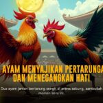 Mengenal Sabung Ayam Adu Bangkok dengan SV388: Sensasi dan Peluang
