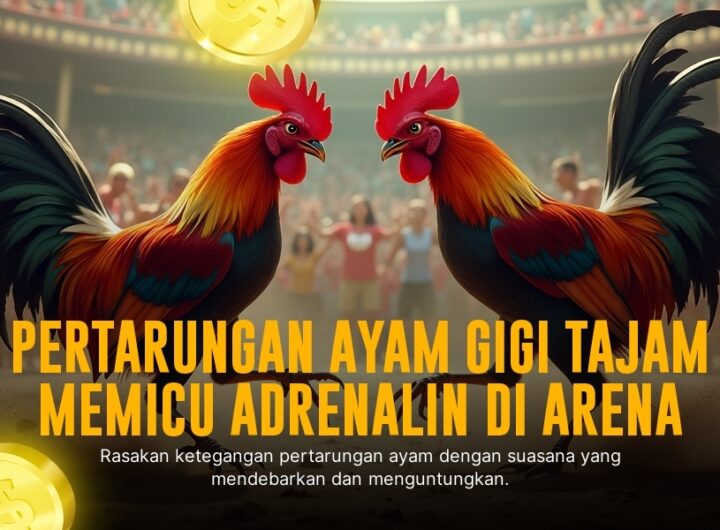 Fokus SV388: Menyelami Dunia Sabung Ayam Modern