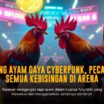 Menguak Keunggulan Ayam Bangkok di Sabung Ayam SV388