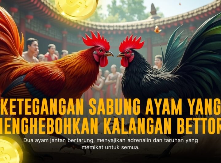 Rahasia Ayam Bangkok: Jenis Sabung Ayam yang Paling Diminati