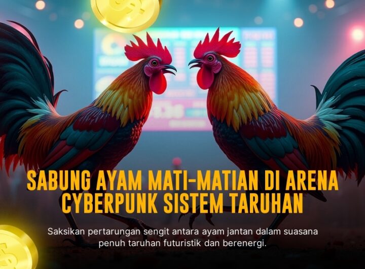 Mengenal Ayam Saigon dalam Sabung Ayam Online