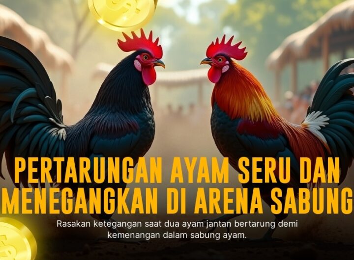Rahasia Sabung Ayam S128: Kenali Jenis Ayam Aduan Terpercaya