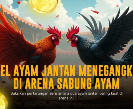 Jenis Ayam Bangkok dalam Sabung Ayam SV388: Rahasia Kemenanganmu!