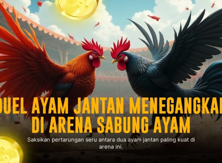 Jenis Ayam Bangkok dalam Sabung Ayam SV388: Rahasia Kemenanganmu!